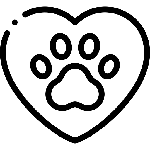 עיקור כלבה