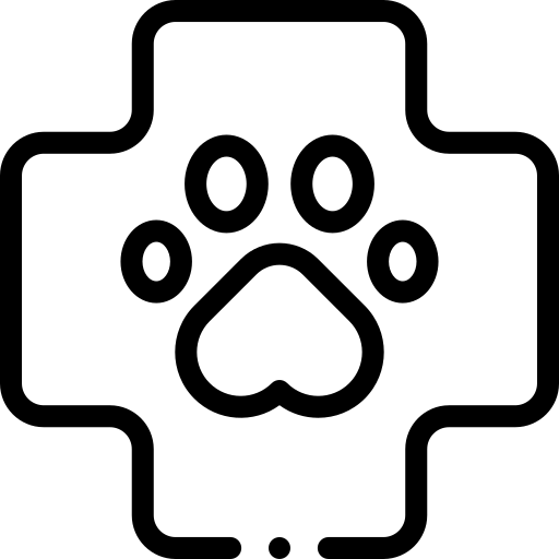 סירוס כלב